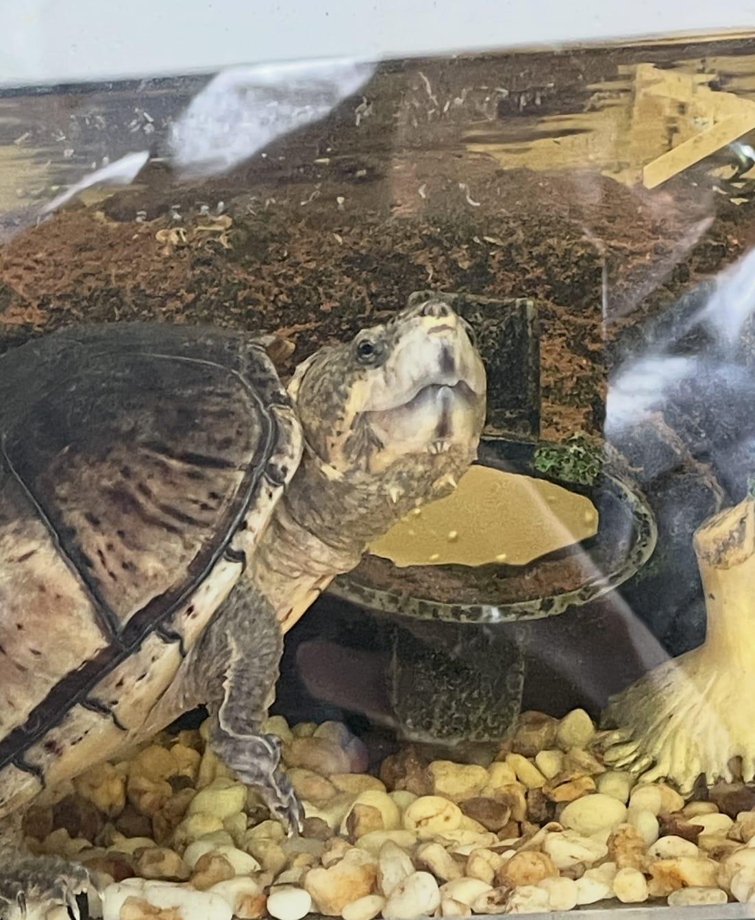 Bash and John Move to London